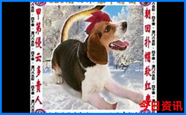 云南昆明有哪些旅游景点